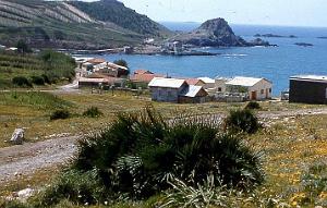 CAP falcon 6-pain de sucre-1956 (2)